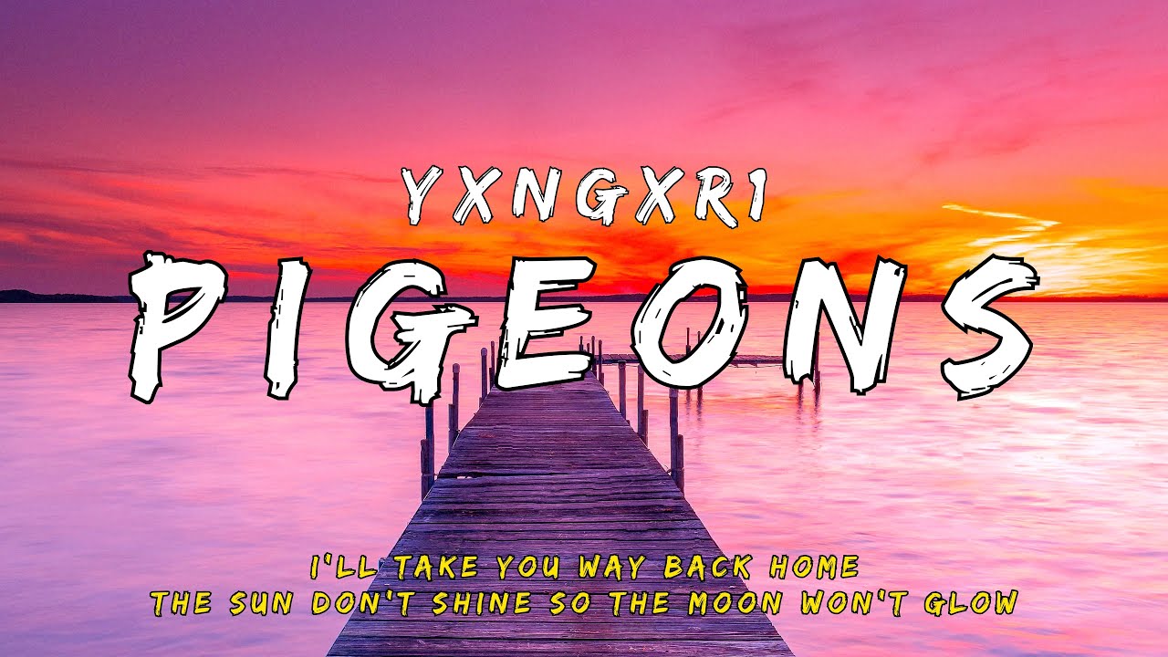 yxngxr1 PIGEONS (Lyrics) YouTube