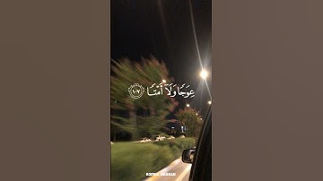 ويسألونك عن الجبال فقل ينسفها ربي نسفا|سورة طه (105) القارئ محمد أيوب #quran #islam #قران_كريم#حالات