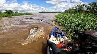 NEM ASSISTINDO A GENTE ACREDITA,  NA ISCA VIVA ELES PEGAVAM EMBAIXO DAS PLANTAS. Pesca