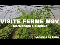 Visite ferme en marachage sol vivant  la ferme de terre mai 2022