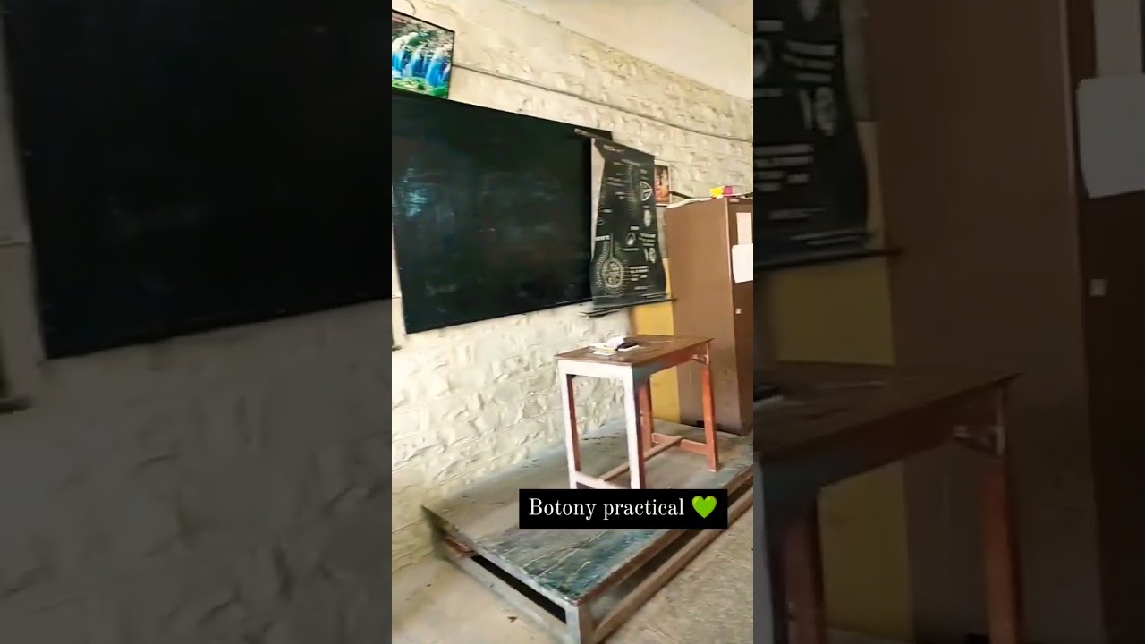 Botany practical lab 💚