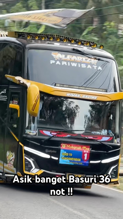 Basuri merdu kelakuan si kucing garong 36 not #busmania #basuri