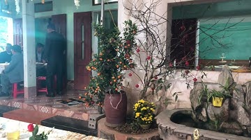 Chúc mừng năm mới