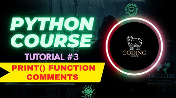 Python Print Function & Comments Explained (2025) | Tutorial-3