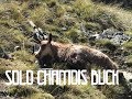 Solo Chamois Buck | Hunting New Zealand