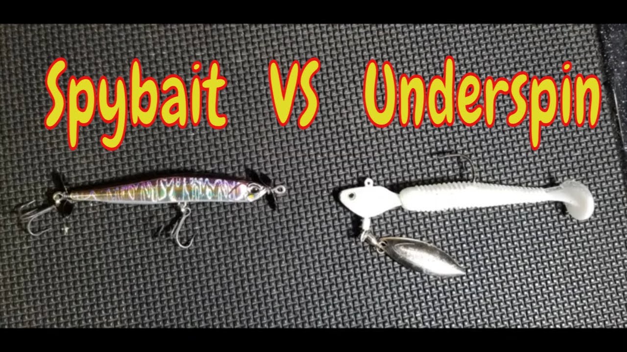 best fly rod for cnadian atlantic salmon fishing Topwater silvers!  Fly fishing for Alaskan Silver Salmon
