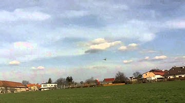 Trex 600 inverted flight