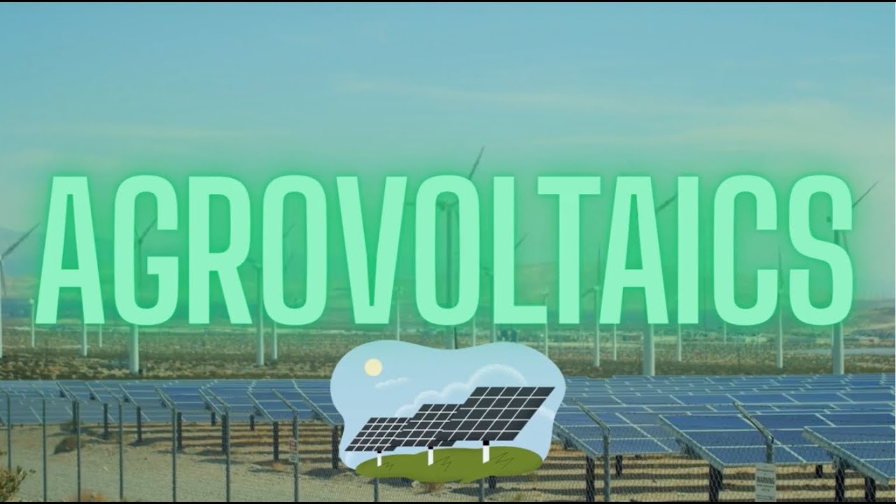 AGROVOLTAICS IN CATALONIA by Emma Ballesteros, Alba Llatjós, Ryan Callahan and Ian Bautista