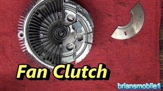 Fan Clutch Explo-tionation