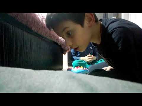 Vlog 1 happy shark გამოვჩნდით პირველი ვლოგი ჩემს ძმასთან ერთად