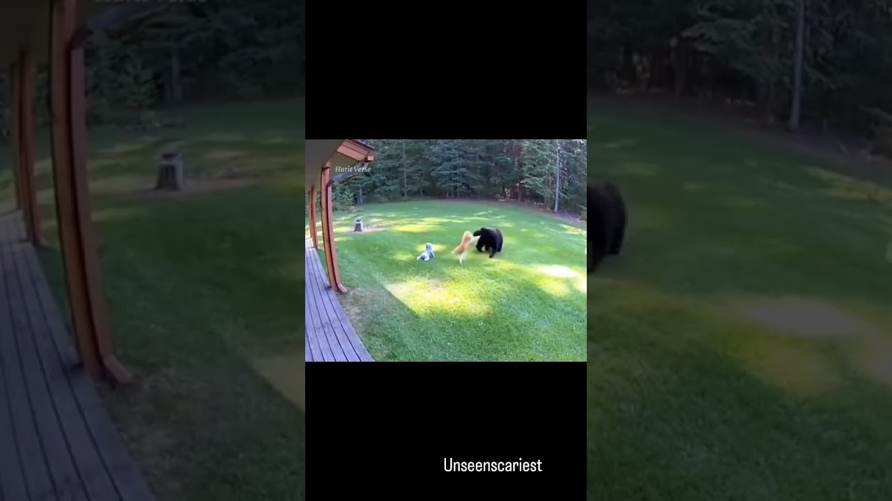 Tataristonning Zaynsk fohishalari Buzuq porno chochqachilik banki