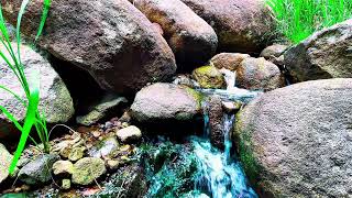 ASMR Natural Flowing Stream Sounds for Deep and Restful Sleep