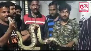 HYD | SNAKE FOUND AT SAJJAD COLONY HYDERABAD, AND HANDED OVER TO THE FOREST DEPARTMENT.