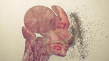 Ô nhiễm không khí ở TPHCM Hà Nội  Bụi PM2 5 xâm nhập vào máu ra sao