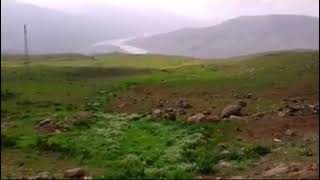 Hayrettin Tarhan Elife