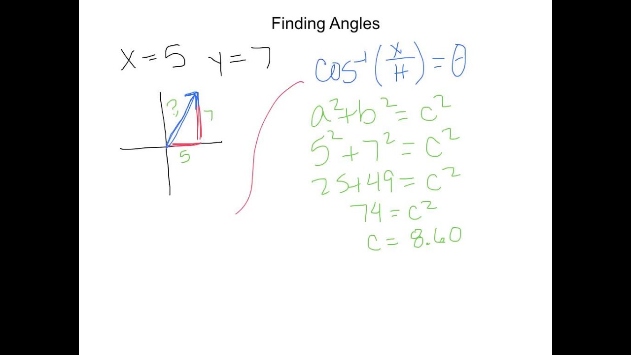 Vector Basics