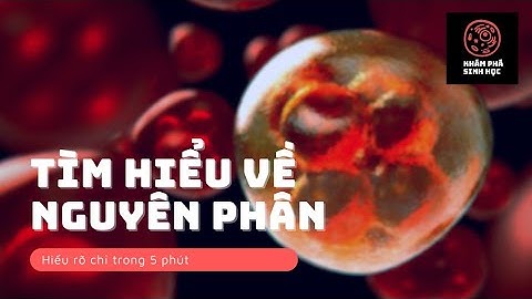 Nguyên phân là gì? Ý nghĩa của nguyên phân | Khám Phá Sinh Học