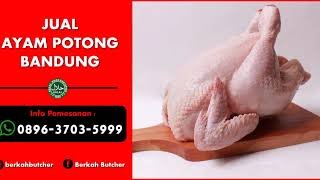 Ayam Potong Halal Di Bandung Berkah Butcher, Wa. 0896-3703-5999, Ayam Potong Segar Murah Bandung
