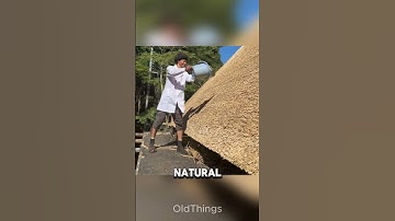 The Thatch Roof Tradition in Scandinavian Culture