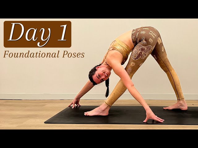 Top 15 Standing Yoga Poses You Need to Know - 7pranayama.com