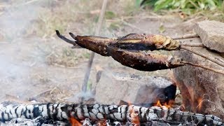 Couple Catch Fish and making fire by natural way Life Adventure