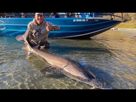 Video: I nostri vincitori di Flying Dragon in Vietnam