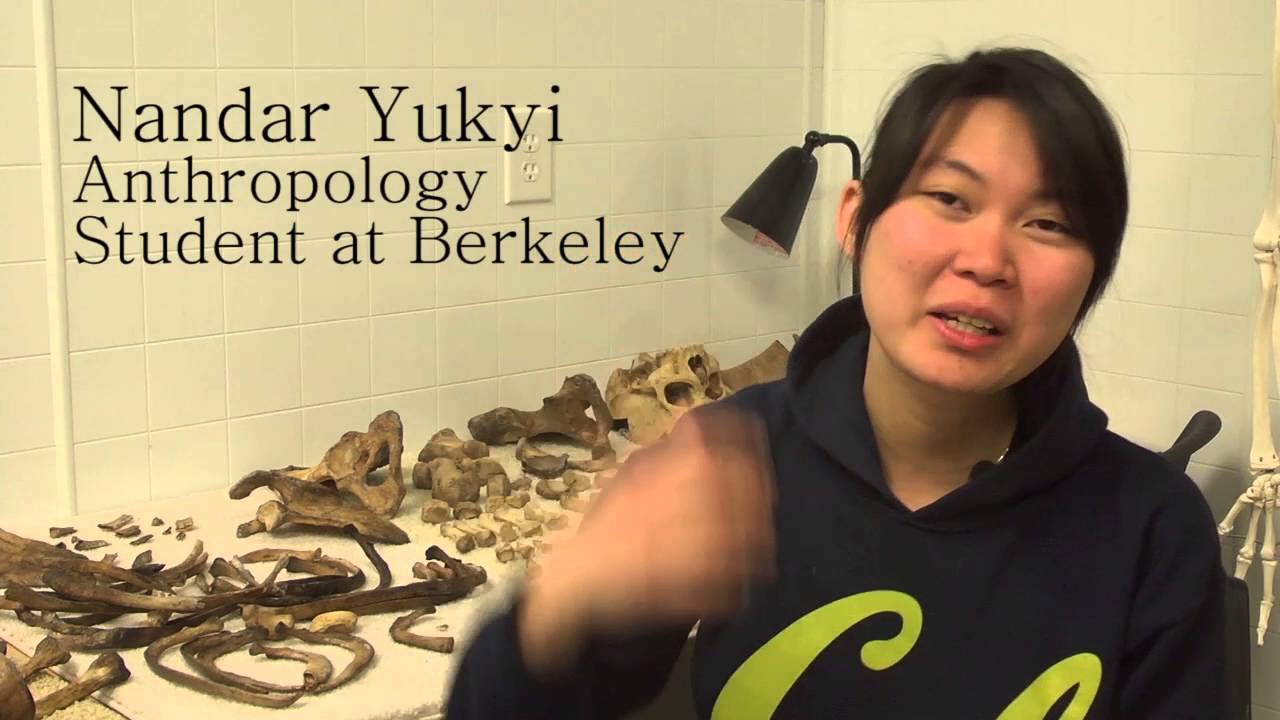 Body Farmers A Documentary of The Freeman Ranch Body Farm YouTube