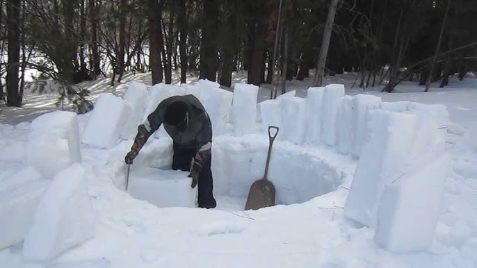 Snow Shelters: Why We Don't Build Igloos In The Forest
