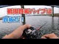 渋い時は鉄板バイブで橋脚狙い