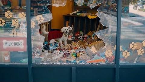 Krypto Saves Superman | Superman (2025) Full HD