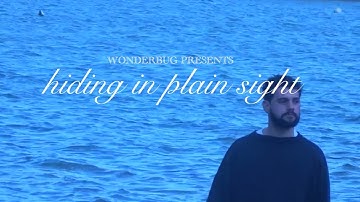 hiding in plain sight - wonderbug