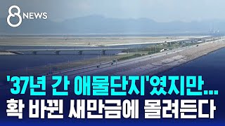 '37년 간 애물단지'였지만…확 바뀐 새만금에 몰려든다 / SBS 8뉴스