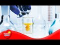 Chemical Reactions and Their Indicators in Everyday Life