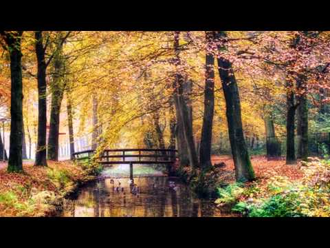 GIOVANNI MARRADI - Silent Cry