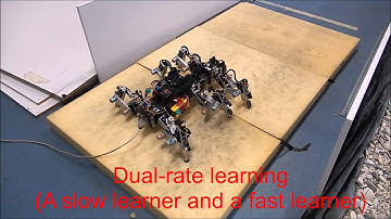 Why is dual-rate learning?