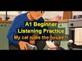 A1 - Beginner Korean Listening Practice | My cat rules the house