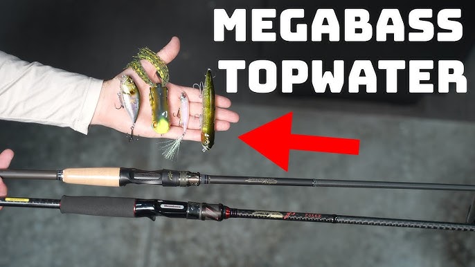 5 MORE Under The Radar Baits The Pros Don't Want You To Know About! 