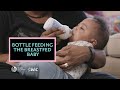 Bottle feeding the breastfed baby  texas wic for breastfeeding support  breastmilkcountscom