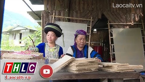 Người Mông Sa Pa giữ nghề làm giấy dó | THLC