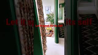 Playing With Your Sisters Rabbit Be Like ....