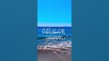 أية 51 من سورة التوبة
