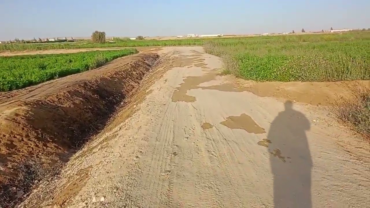 الوادي الجديد الفرافرة جولة صباحية 01122474189