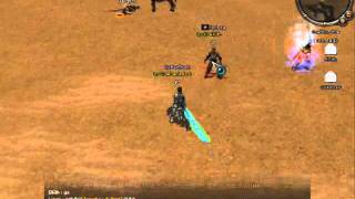 Metin2 Guabina Duelos 2011