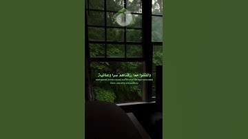 💖 مع كل آية يتجدد الأمل وتطمئن القلوب... صوت الشيخ ماهر المعيقلي  #قرآن #تلاوة_خاشعة #ماهر_المعيقلي