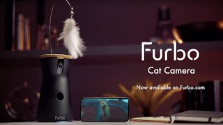 Furbo 360° Cat Camera┃Marvel Studios’ The Marvels by Furbo Pet Camera 227,450 views 6 months ago 28 seconds