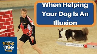 When Helping Your Dog is an Illusion #12