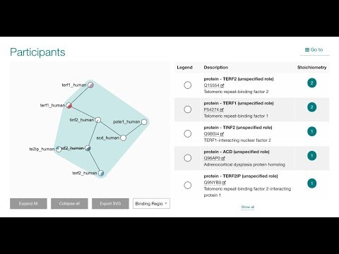 Complex Portal: an encyclopedia of protein complexes