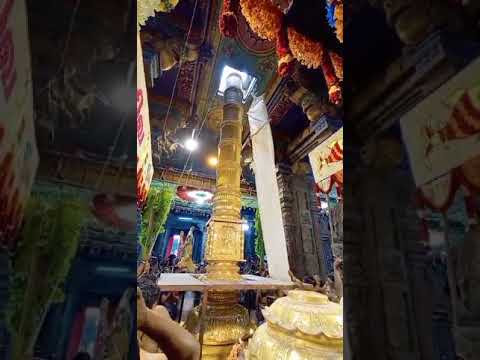 Chithirai Thiruvila 2024 Kodi Yetram #madurai #meenakshi #meenakshiammantemple #chithiraithiruvizha