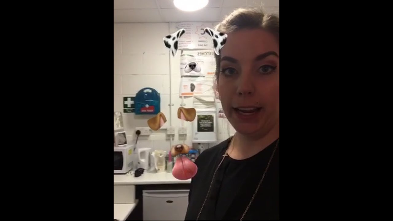 paranormal on snapchat