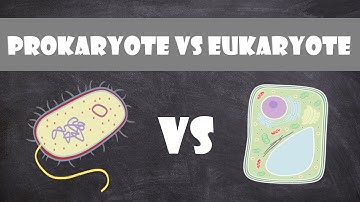 Prokaryotic vs. Eukaryotic Cells | Cell Biology